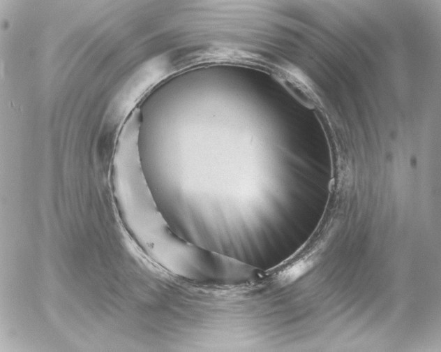 X0000052940946200507221143