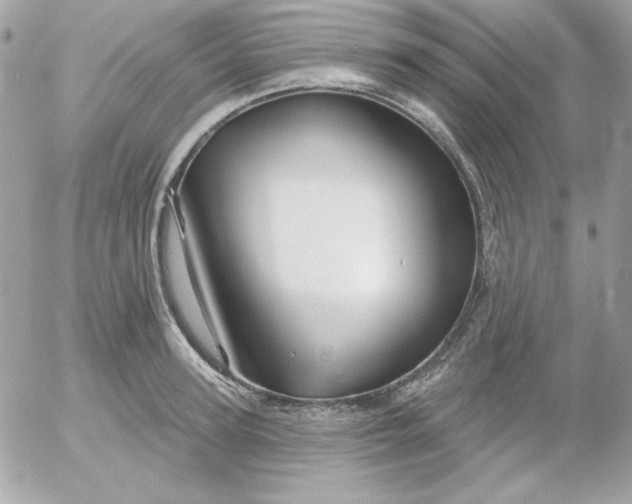 X0000052940947200507221143