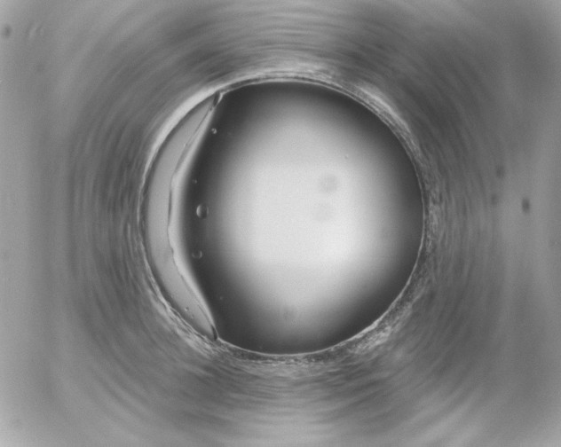 X0000052940948200507221143