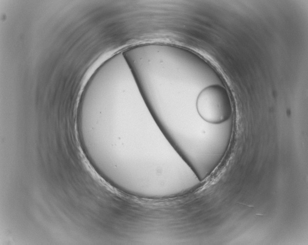 X0000052940949200507221143