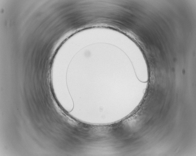 X0000052940950200507221143