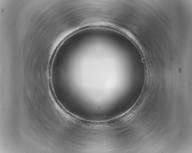 X0000052940951200507221143