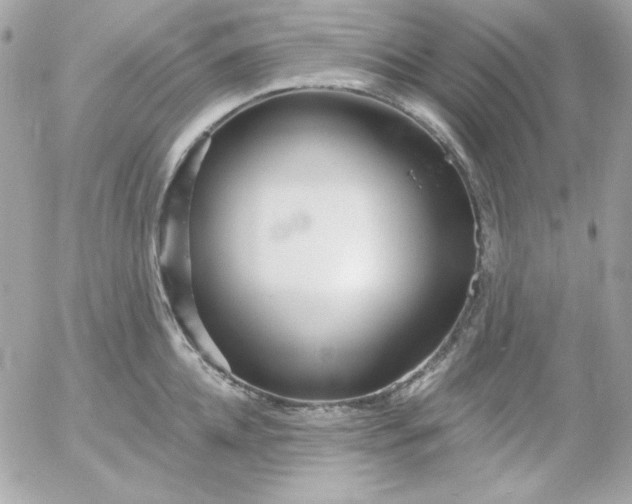 X0000052940952200507221143