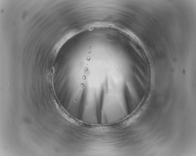 X0000052940953200507221143