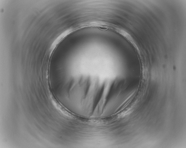 X0000052940954200507221143