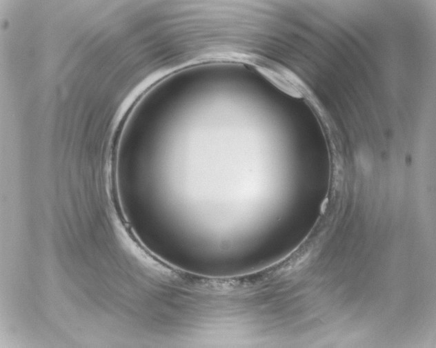 X0000052940955200507221143