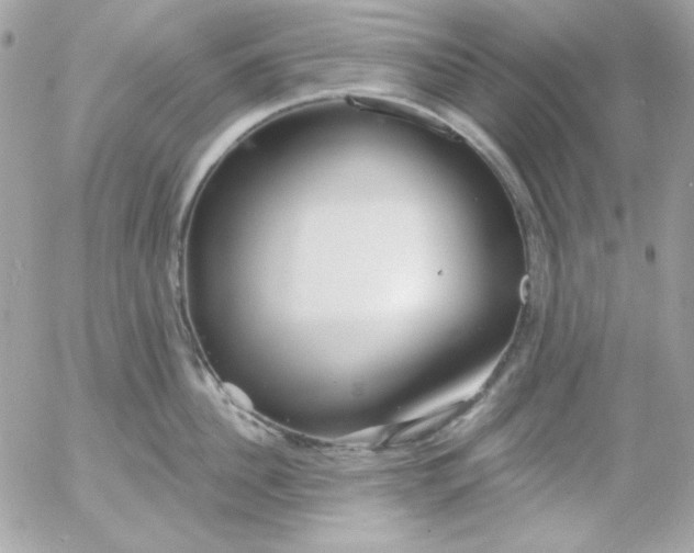 X0000052940956200507221143