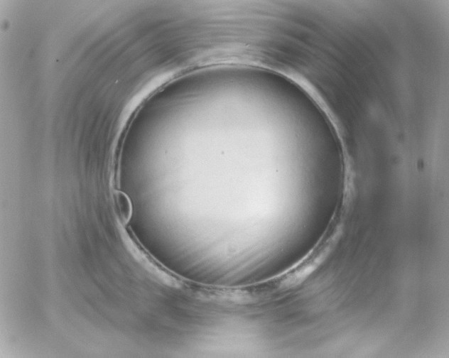 X0000052940957200507221143