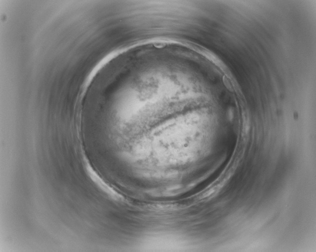 X0000052940958200507221143