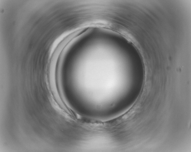 X0000052940960200507221143