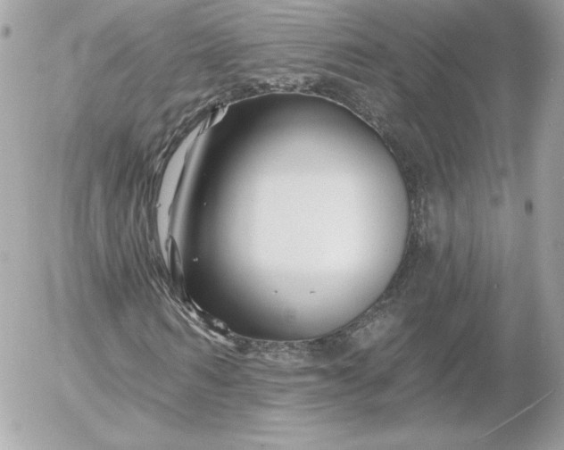 X0000052940962200507221142