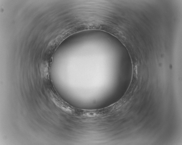 X0000052940963200507221142