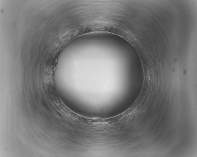 X0000052940964200507221142