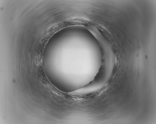 X0000052940965200507221142