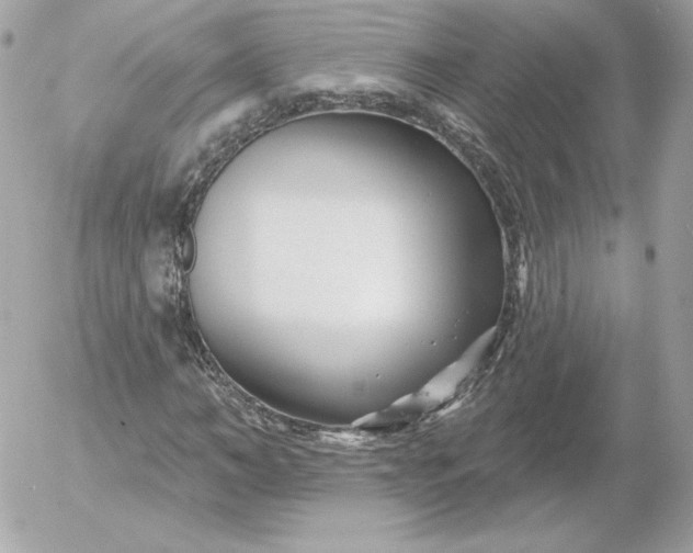 X0000052940966200507221142