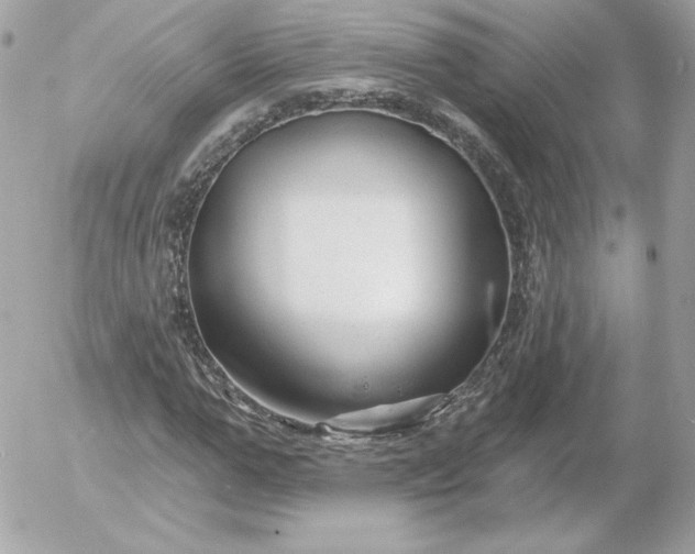 X0000052940967200507221142