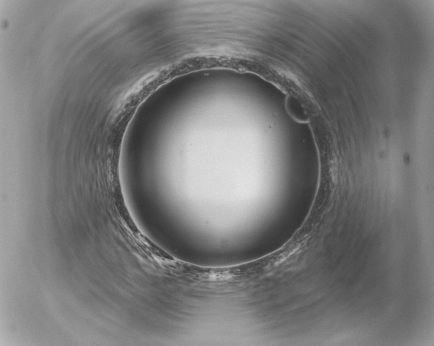 X0000052940968200507221142