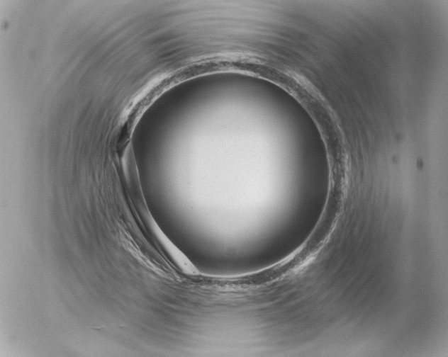 X0000052940969200507221142