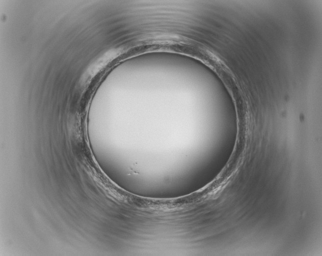 X0000052940970200507221142