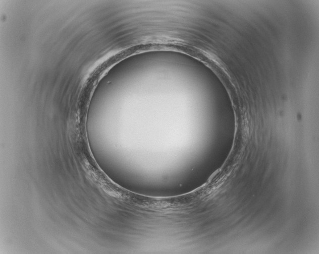 X0000052940971200507221142