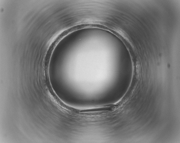 X0000052940972200507221142