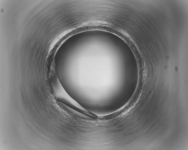 X0000052940973200507221142