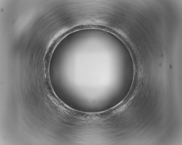 X0000052940974200507221142