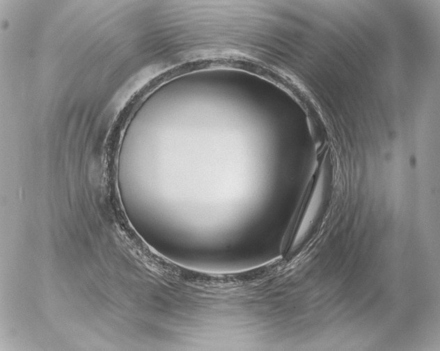 X0000052940975200507221142