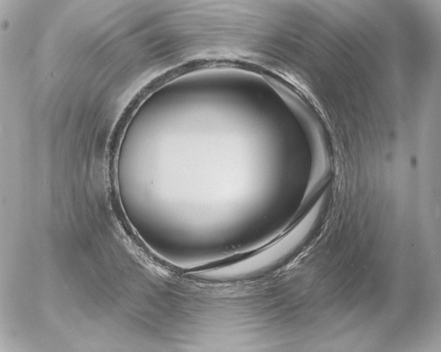 X0000052940976200507221142