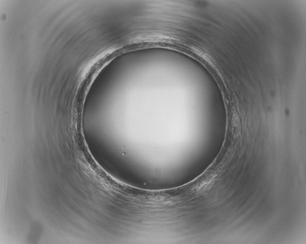 X0000052940979200507221142