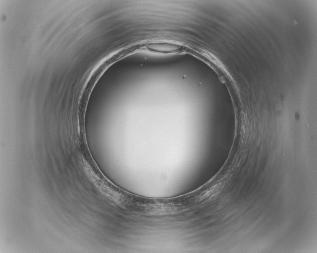 X0000052940980200507221142