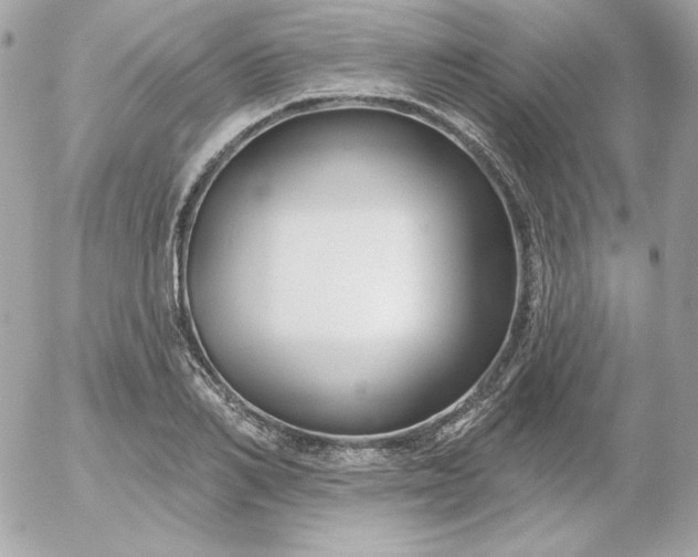 X0000052940982200507221142