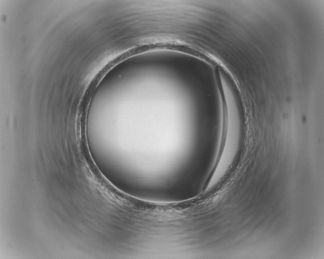 X0000052940983200507221142