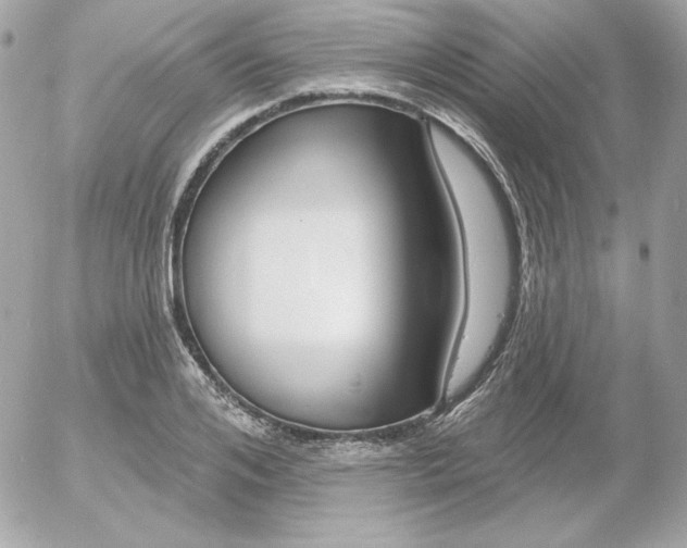 X0000052940984200507221142