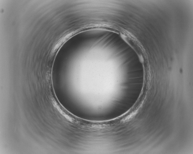 X0000052940985200507221142