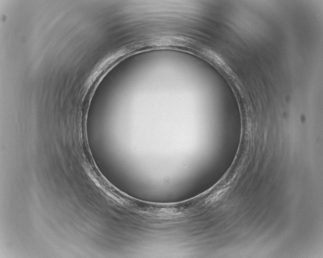 X0000052940986200507221142