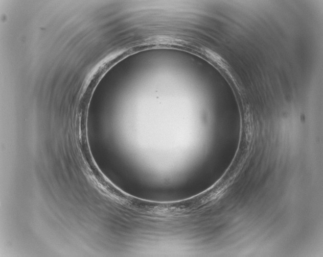 X0000052940987200507221142