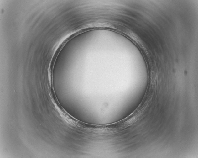 X0000052940988200507221142