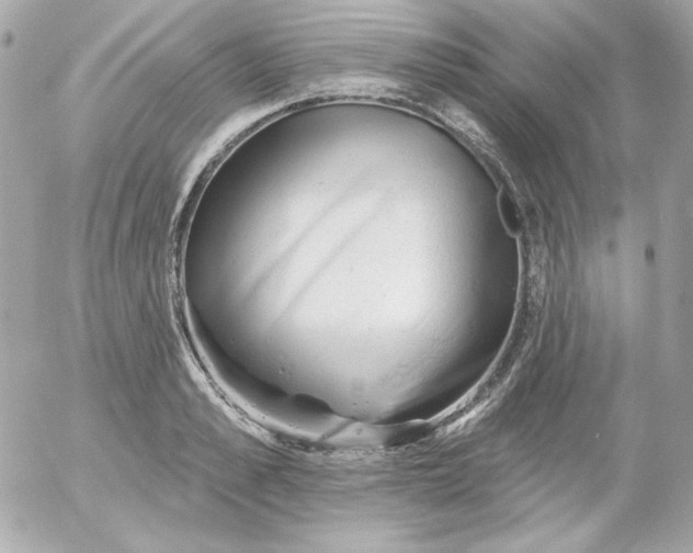 X0000052940989200507221142