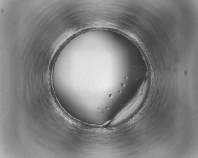 X0000052940990200507221142