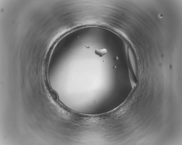 X0000052940991200507221142