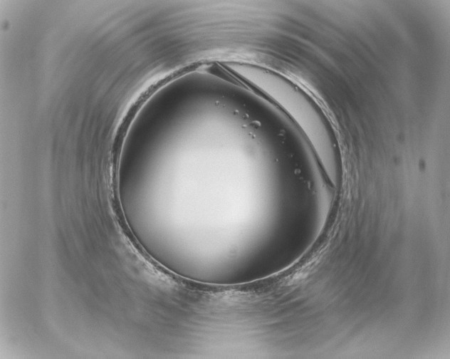 X0000052940992200507221142