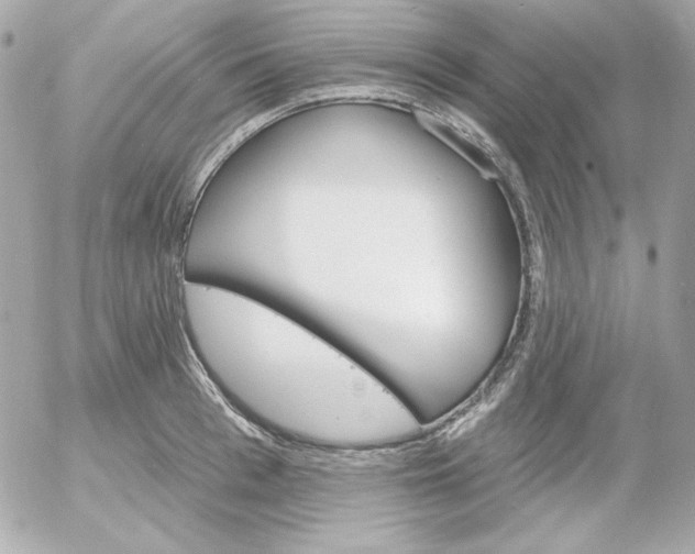 X0000052940993200507221142