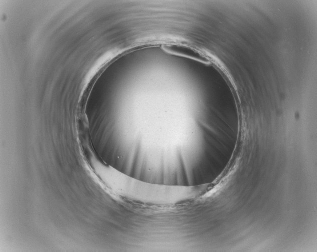 X0000052940997200507221142