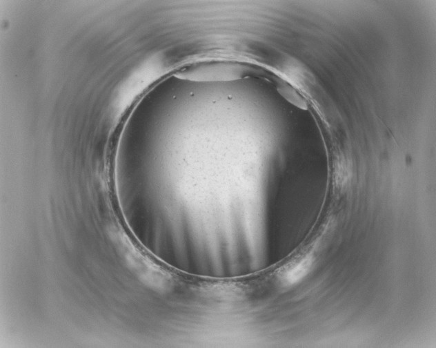 X0000052940998200507221142