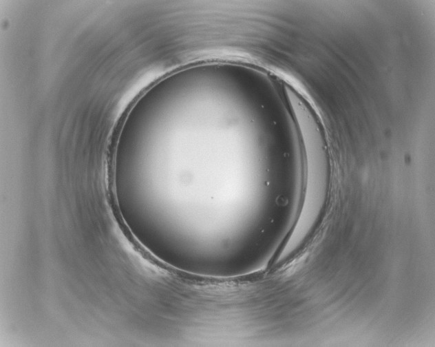 X0000052940999200507221142