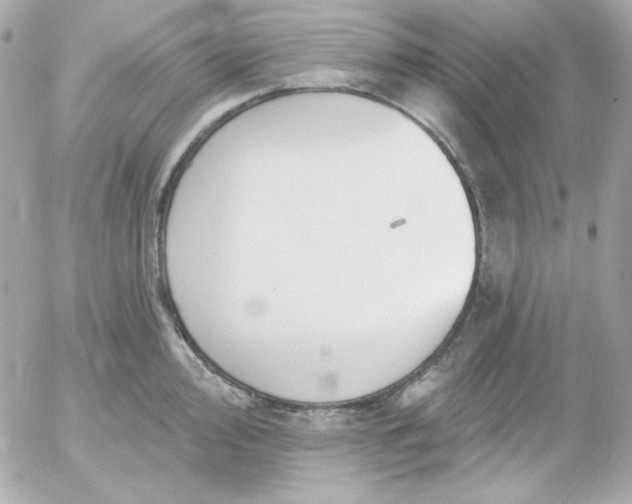 X0000052941000200507221142