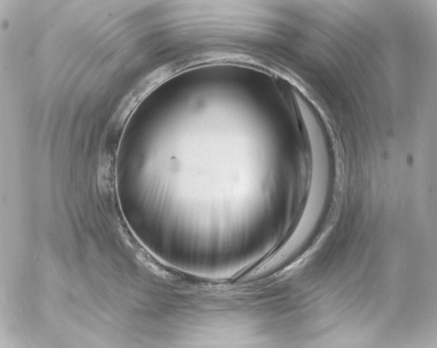 X0000052941001200507221142