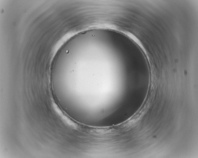 X0000052941005200507221142