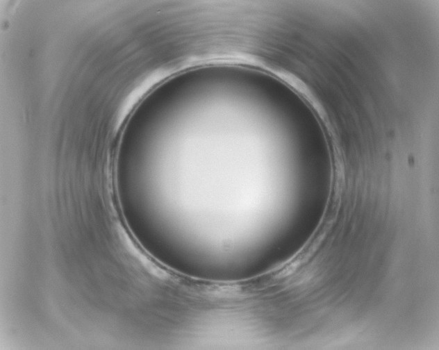 X0000052941006200507221142